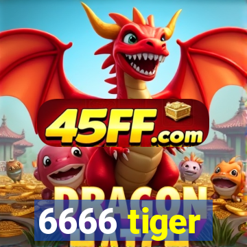 6666 tiger
